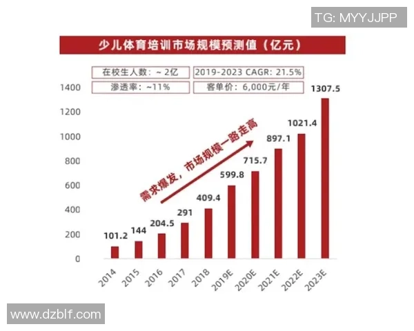 中篮球价格调查及购买渠道分析，了解市场行情与性价比选择