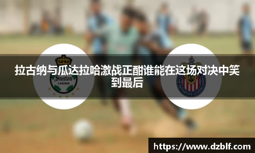 OETY中国官方网站